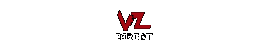 VZ Direct VZ Direct